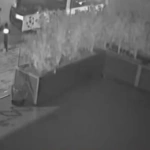 Αγιος Δημήτριος: «Ο “Θείος” ξέρει ποιος τον πυροβόλησε» – Σιγή… ασυρμάτου από το θύμα της επίθεσης