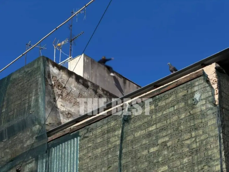 Λήξη συναγερμού στην Πάτρα: Kατέβηκε από την ταράτσα η γυναίκα που απειλούσε να πέσει [εικόνες – βίντεο]