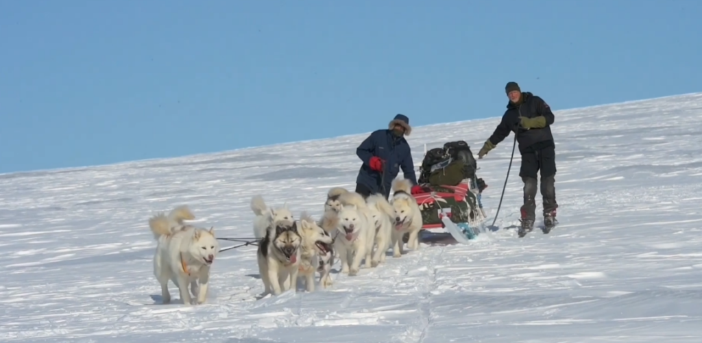 Γροιλανδία: Η σκληροτράχηλη Sirius Dog Sled Patrol που περιπολεί στους – 55 βαθμούς – Γιατί επίλεκτη ομάδα δεν είναι απλώς «δυο έλκηθρα με σκύλους»