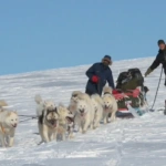 Γροιλανδία: Η σκληροτράχηλη Sirius Dog Sled Patrol που περιπολεί στους – 55 βαθμούς – Γιατί επίλεκτη ομάδα δεν είναι απλώς «δυο έλκηθρα με σκύλους»