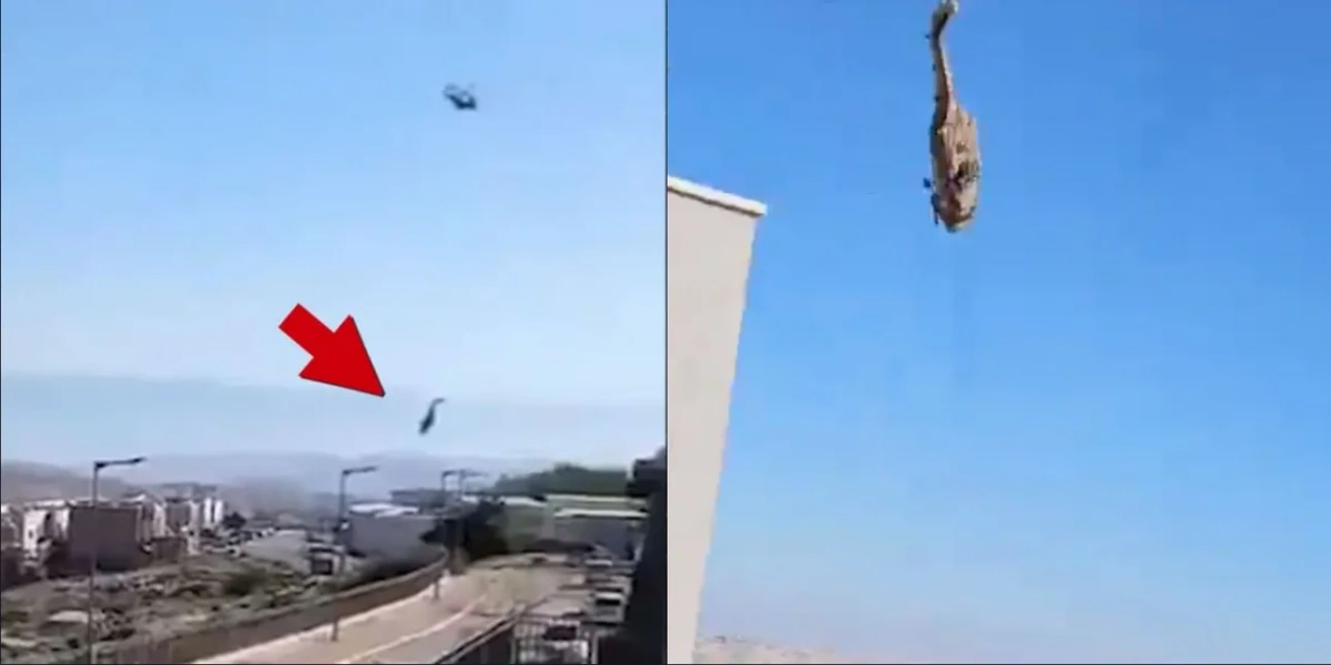 ελικόπτερο