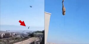 ελικόπτερο