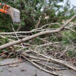 Δήμος Σπάρτης (Πηγή facebook)