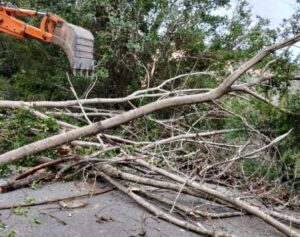 Δήμος Σπάρτης (Πηγή facebook)