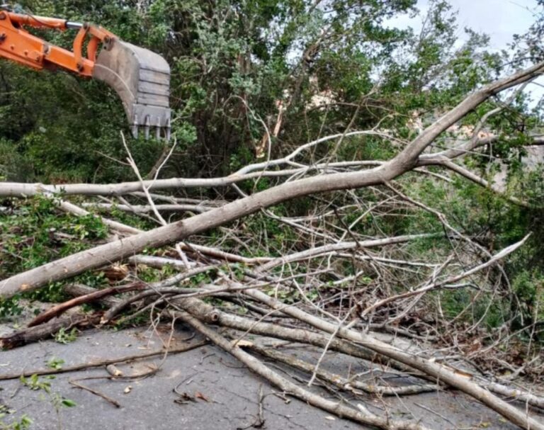 Δήμος Σπάρτης (Πηγή facebook)