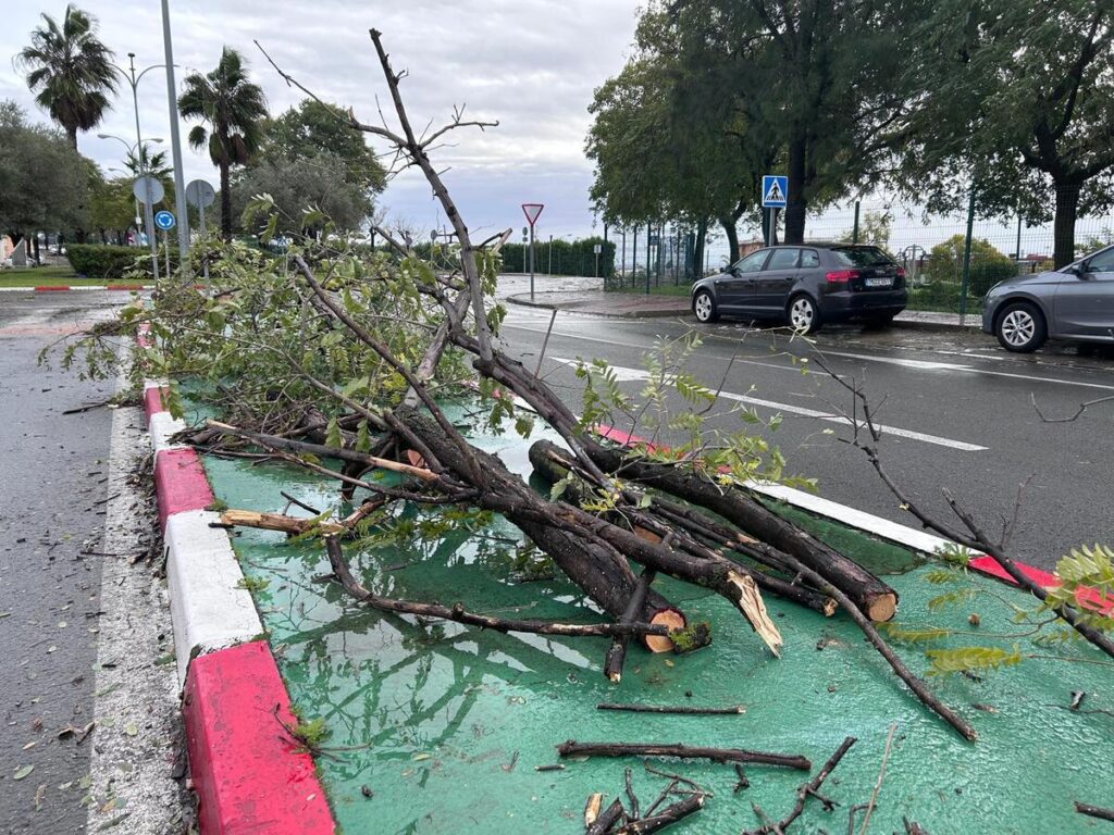 Νεκροί και ζημιές από την επέλαση της κακοκαιρίας σε Πορτογαλία και Ισπανία – Στα λευκά η Μαδρ