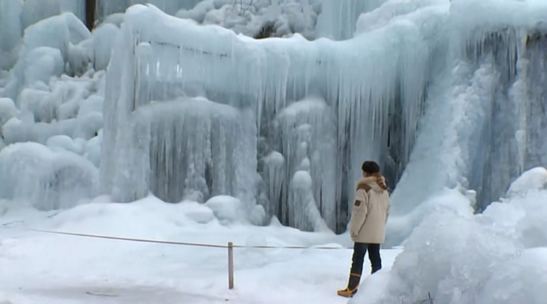 Το παραμυθένιο «Subzero Forest» της Ιαπωνίας: Ένα μαγευτικό παγωμένο δάσος που «κόβει» την ανάσα [βίντεο]