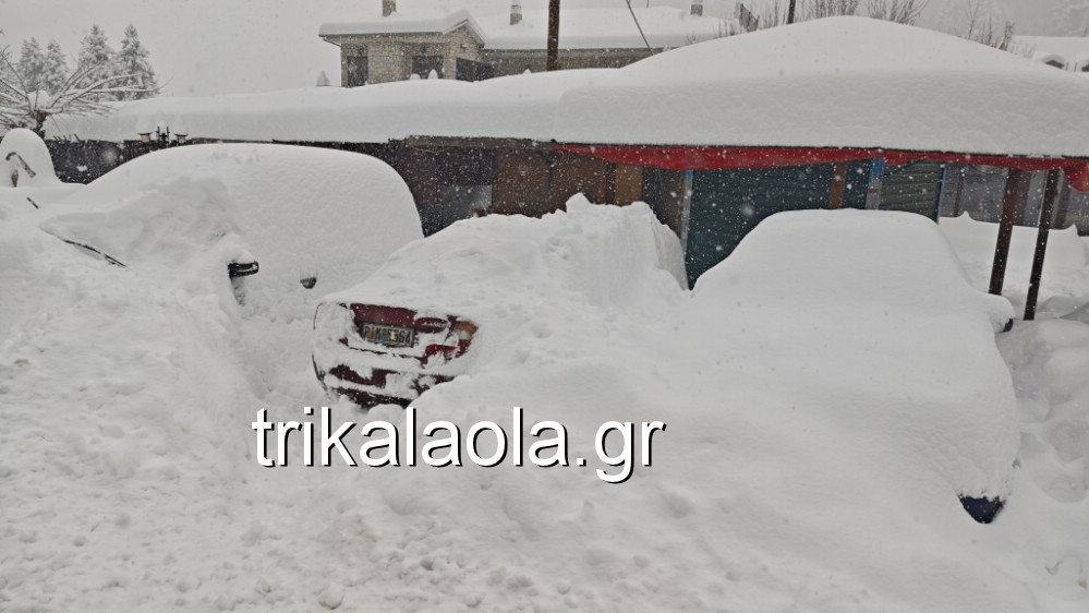 Στα λευκά τα Τρίκαλα: Το χιόνι ξεπέρασε τους 70 πόντους στην Ελάτη – «Θάφτηκαν» τα αυτοκίνητα