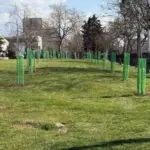 Θεσσαλονίκη: Πρασινίζει με 500 αγριοκερασιές το ΑΠΘ – Αφιερωμένο στους 13 φοιτητές των Τεμπών το πρώτο που φυτεύθηκε