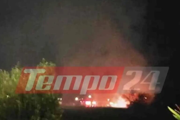 Φωτιά στην Αχαΐα: Στις φλόγες πτηνοτροφική μονάδα στα Γερουσέικα