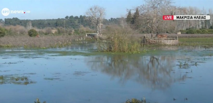 Αγωνία για τον Έβρο – Εκτεταμένες πλημμύρες σε αγροτικές περιοχές στην Κοζάνη και σε απόγνωση οι αγρότες της Ηλείας