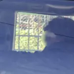 Στα δικαστήρια της Ευελπίδων ο γνωστός μάνατζερ μετά την καταδίωξη στην Κηφισιά – Η μεταγωγή και το αυτόφωρο [εικόνες]