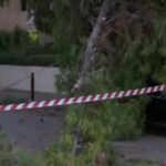 Θεσσαλονίκη: Έκλεισε δρόμος μετά από πτώση δέντρου – Στο σημείο η Πυροσβεστική
