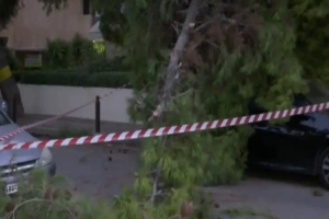 Θεσσαλονίκη: Έκλεισε δρόμος μετά από πτώση δέντρου - Στο σημείο η Πυροσβεστική