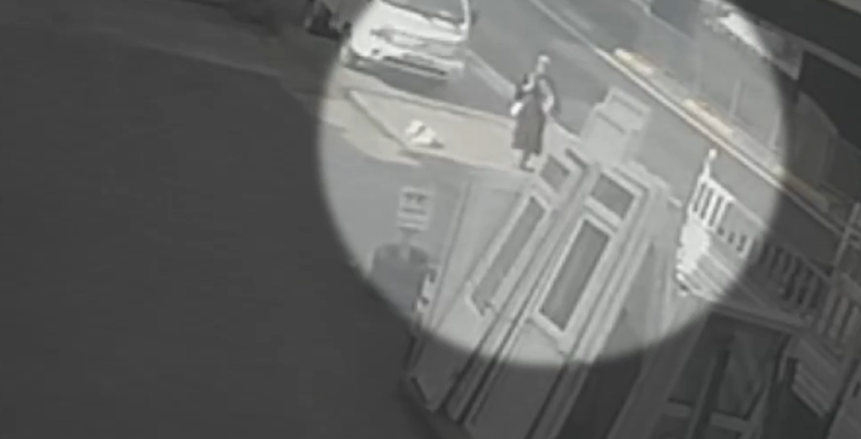 Σοκαριστικό ατύχημα στην Τραπεζούντα: 21χρονη φοιτήτρια παρασύρθηκε από λεωφορείο ενώ την κυνηγούσε αδέσποτος σκύλος [βίντεο]