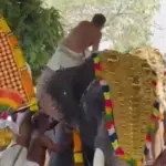 Φεστιβάλ τρόμου στην Ινδία: Ελέφαντας άρπαξε άνδρα με την προβοσκίδα του και τον εκσφενδόνισε [βίντεο]