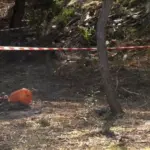 Θρίλερ με τη σορό στη Χαλκιδική: «Είδα ένα χέρι στη σακούλα, φορούσε δαχτυλίδι»