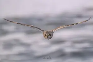 Credit: Μάνος Βατζόλας