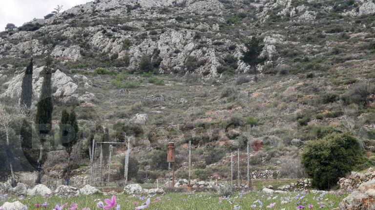 Χίος: Αυξημένες βροχοπτώσεις 2025–2026: Σημαντική άνοδος σε σχέση με πέρυσι