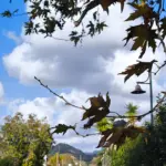 Καιρός: Συνεχίζονται οι ανοιξιάτικες ημέρες – Πότε έρχεται επιδείνωση