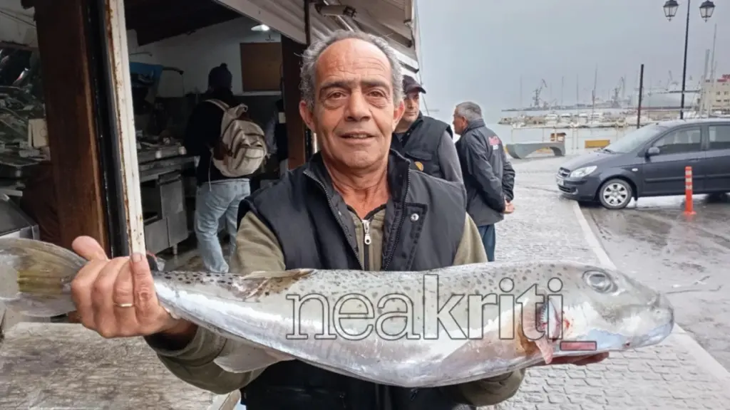 Κρήτη: Ψαράδες έπιασαν λαγοκέφαλο 8 κιλών – Ανησυχία για την παρουσία του τοξικού ψαριού