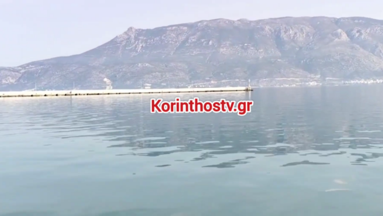 Κόρινθος: Νεαρός βρέθηκε νεκρός στη θάλασσα – Σε εξέλιξη οι έρευνες του Λιμενικού