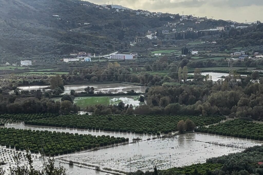 Λέκκας για τον σεισμό των 5,3 Ρίχτερ στη Θεσπρωτία: «Θα συνεχιστούν τα φαινόμενα, πρόκειται για σμηνοσειρά» [Βίντεο]