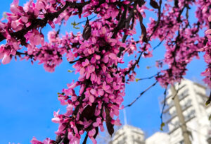 Πάσχα: Ανατροπή στο σκηνικό του καιρού – Πότε έρχονται βροχές και πτώση θερμοκρασίας