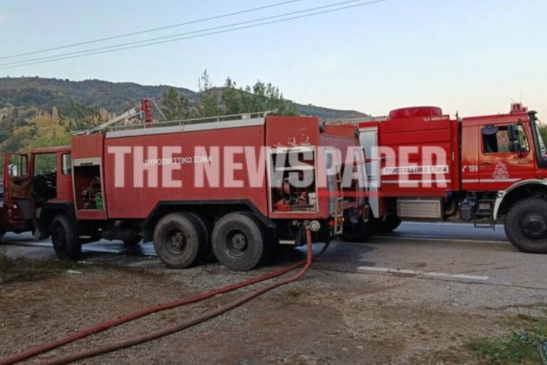 Υπό έλεγχο η φωτιά σε δασική έκταση στο Νεοχώρι Πηλίου