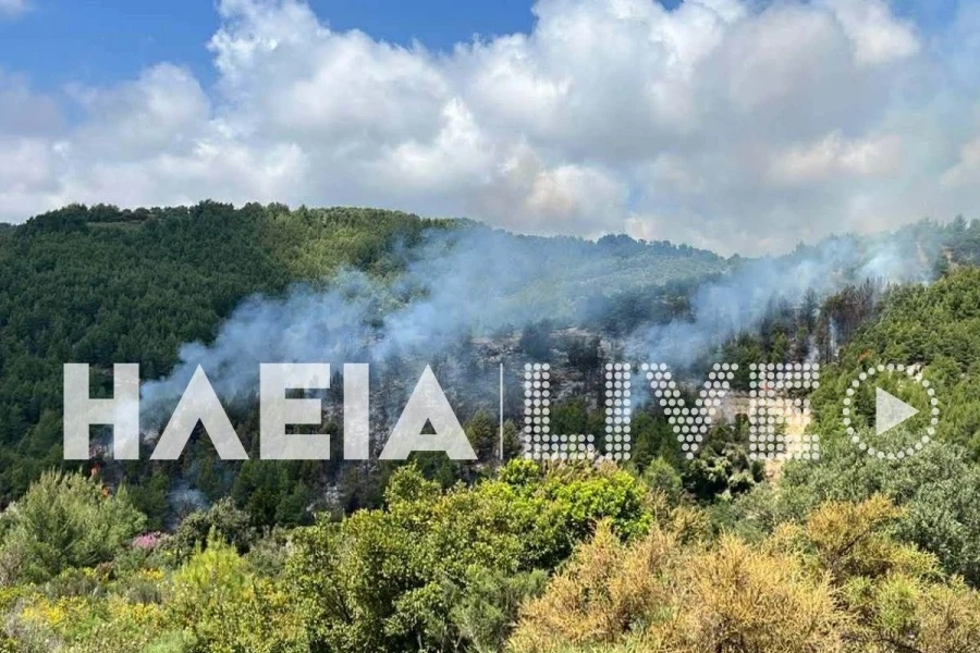 Φωτιά τώρα στο Λέπρεο Ηλείας