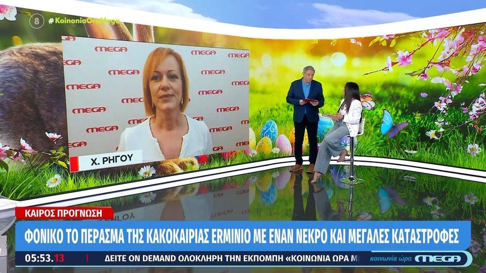 Χασαπόπουλος – Ρήγου: Χαμός στον τηλεοπτικό αέρα – «Τον σηκώσατε τον πήχη, εκτέθηκες» [βίντεο]