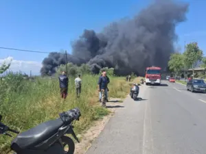 Φωτιά σε επιχείρηση στην Καλαμάτα Πηγή φωτογραφίας: ΕΡΤ