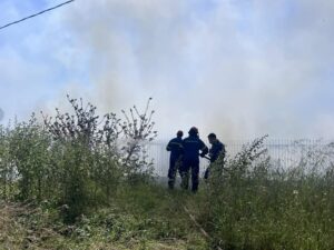 Σκόπελος: Χωρίς ενεργό μέτωπο η φωτιά στην Τριμπίλα – Παραμένουν οι πυροσβεστικές δυνάμεις