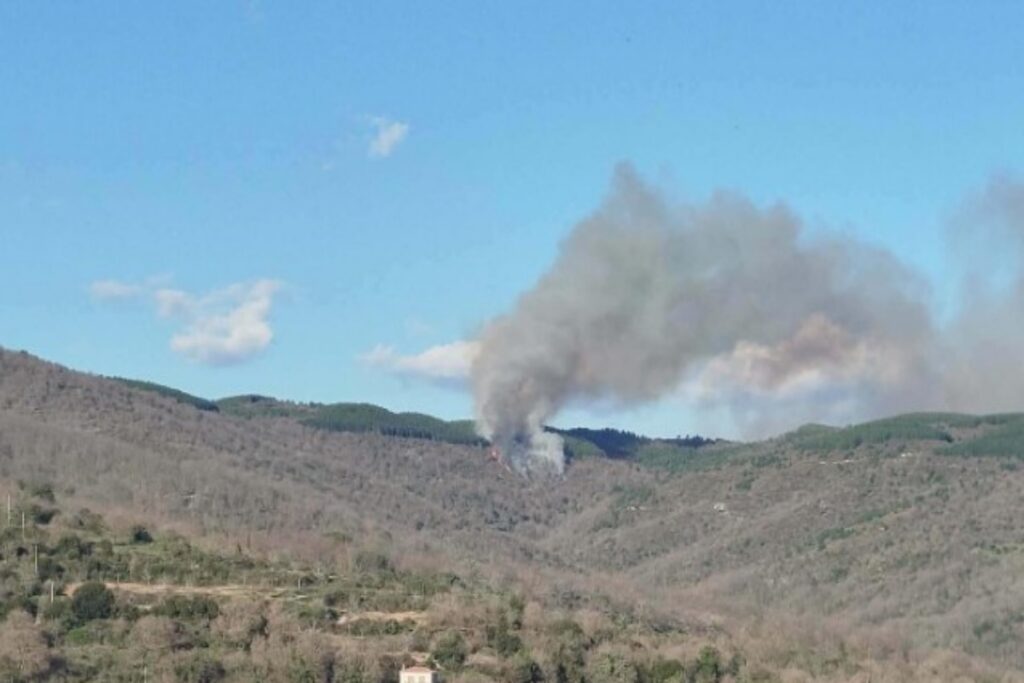Λακωνία: Φωτιά σε δασική έκταση στις Καρυές