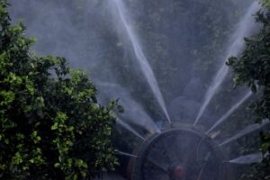 Έρευνα: Πώς συνδέονται τα φυτοφάρμακα με τον καρκίνο