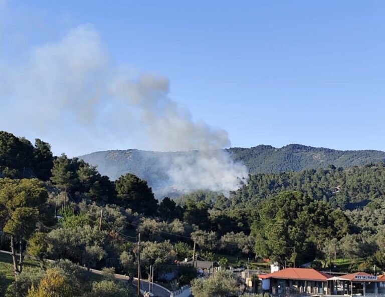 Σκιάθος: Υπό έλεγχο η φωτιά στο πευκοδάσος