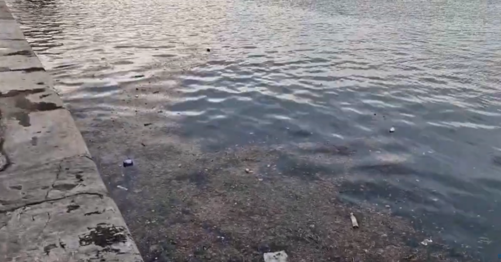 Θεσσαλονίκη: Σκουπίδια και ηλεκτρικά πατίνια επιπλέουν στον Θερμαϊκό κόλπο