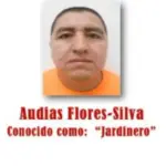 Μεξικό: Η κινηματογραφική σύλληψη του βαρόνου ναρκωτικών «El Jardinero» – Πιθανός διάδοχος του «Ελ Μέντσο»