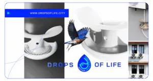 Drops of life: Μια απλή λύση για αστικούς χώρους που μπορεί να βοηθήσει στη διάσωση των πουλιών κατά την έντονη ζέστη