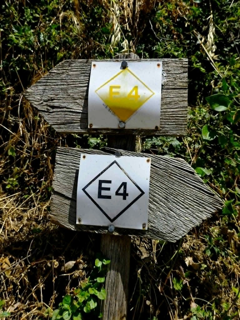 Εσωτερική εικόνα άρθρου