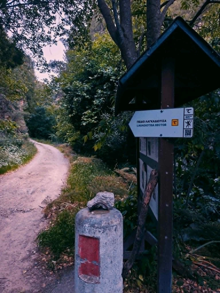 Εσωτερική εικόνα άρθρου