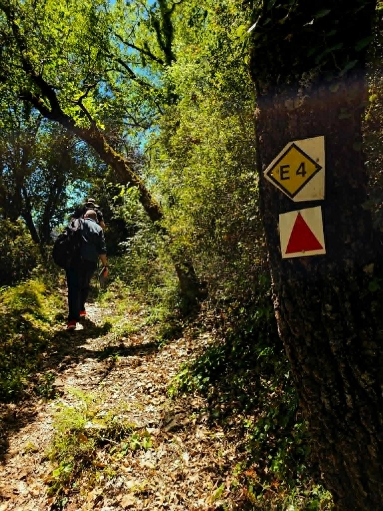 Εσωτερική εικόνα άρθρου