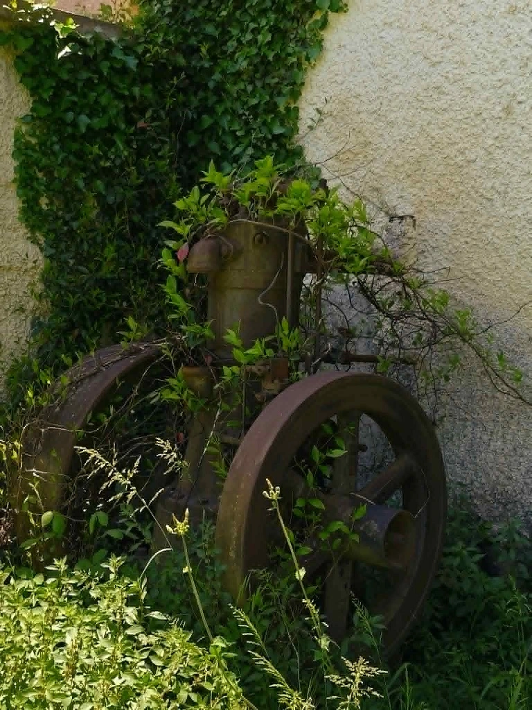 Εσωτερική εικόνα άρθρου