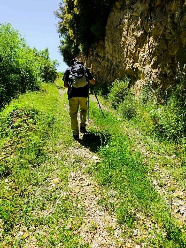 Εσωτερική εικόνα άρθρου