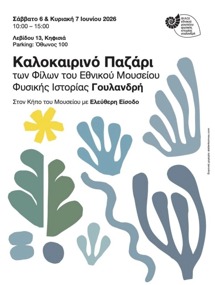 Εσωτερική εικόνα άρθρου