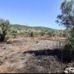 Αίγινα: Συνελήφθη 62χρονη για πυρκαγιά από αμέλεια