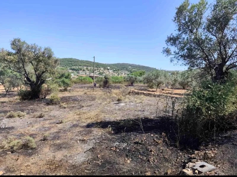 Αίγινα: Συνελήφθη 62χρονη για πυρκαγιά από αμέλεια