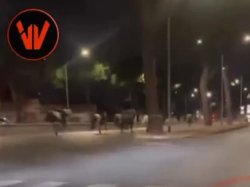 Πανικός στη Ρώμη: Άλογα ξέφυγαν σε κεντρικό δρόμο της Ρώμης – Τραυματίστηκαν πέντε άνθρωποι [Βίντεο]