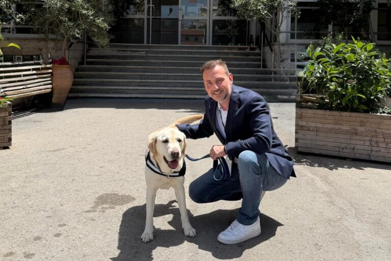 Προσελήφθη στο ΕΣΥ ο πρώτος σκύλος θεραπείας – Ποιος είναι ο Ντύλαν που έπιασε δουλειά στο νοσοκομείο Μεταξά