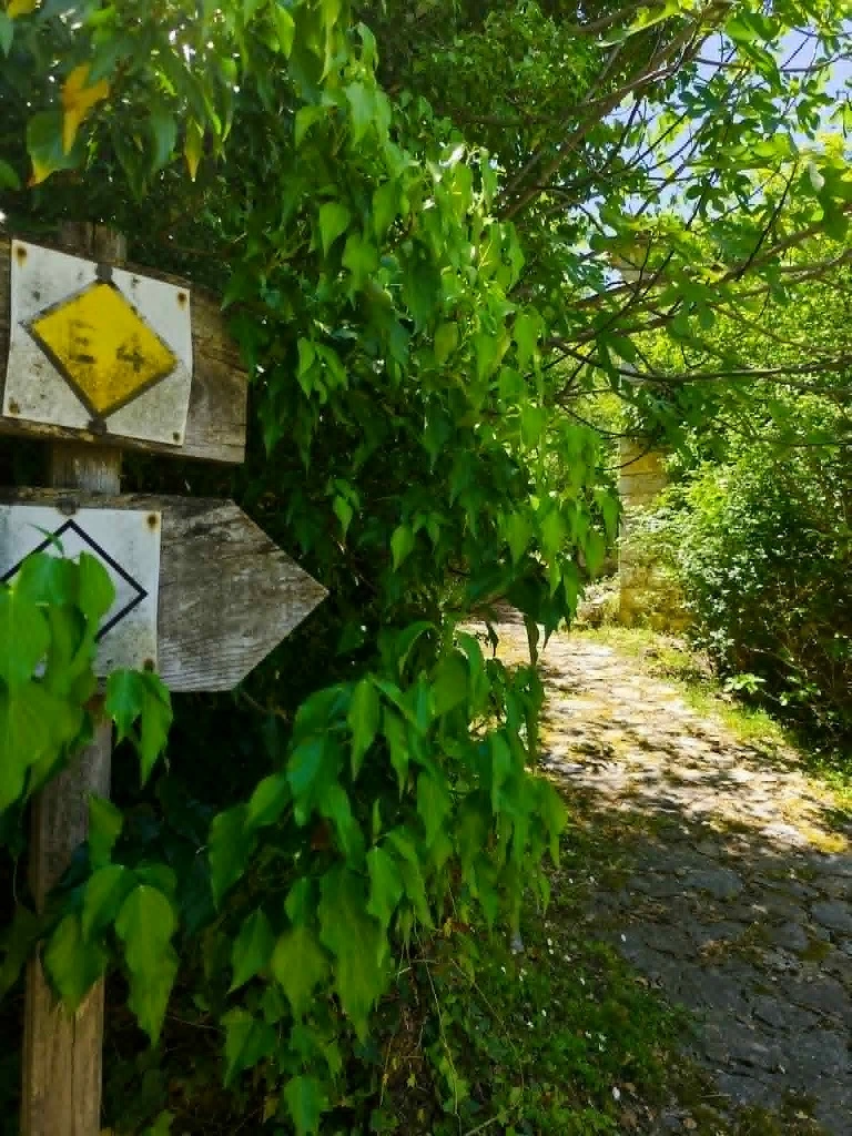 Εσωτερική εικόνα άρθρου